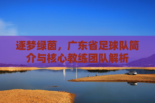 逐梦绿茵，广东省足球队简介与核心教练团队解析