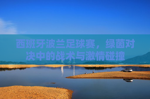 西班牙波兰足球赛,绿茵对决中的战术与激情碰撞