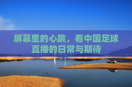 屏幕里的心跳,看中国足球直播的日常与期待
