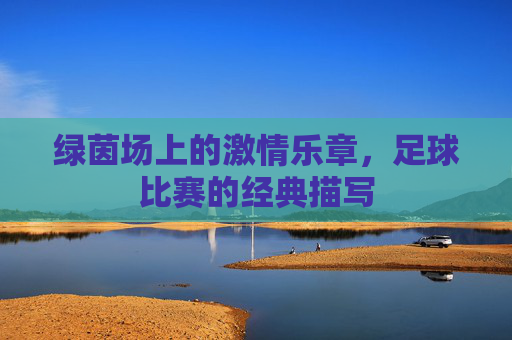 绿茵场上的激情乐章，足球比赛的经典描写