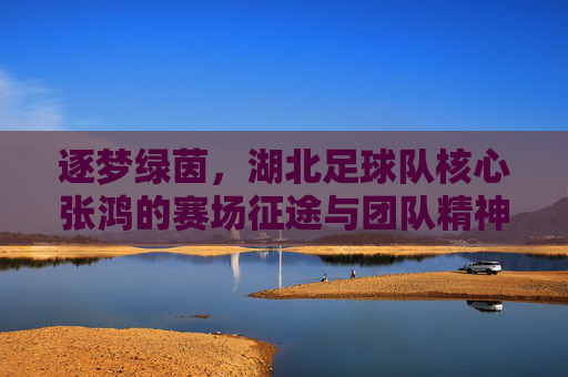 逐梦绿茵,湖北足球队核心张鸿的赛场征途与团队精神,逐梦绿茵,湖北足球队核心张鸿的赛场征途与团队精神