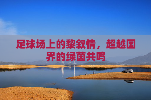 足球场上的黎叙情，超越国界的绿茵共鸣