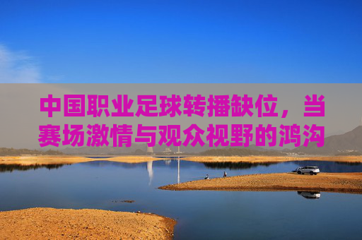 中国职业足球转播缺位,当赛场激情与观众视野的鸿沟拉大