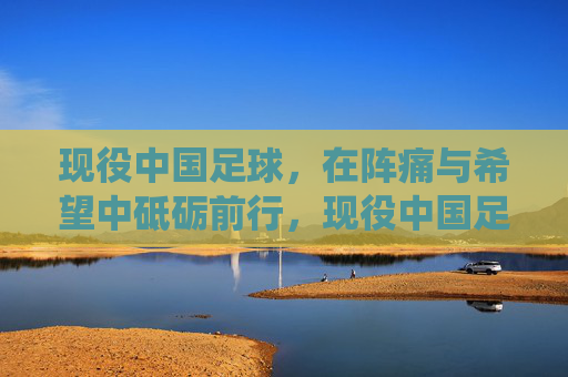 现役中国足球,在阵痛与希望中砥砺前行,现役中国足球,在阵痛与希望中砥砺前行