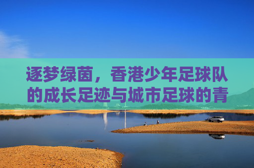 逐梦绿茵，香港少年足球队的成长足迹与城市足球的青春活力