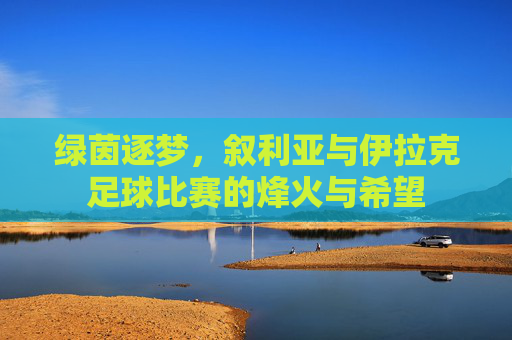 绿茵逐梦,叙利亚与伊拉克足球比赛的烽火与希望