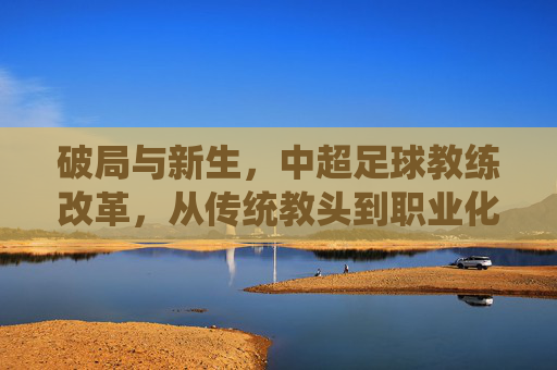 破局与新生,中超足球教练改革,从传统教头到职业化转型的深度剖析