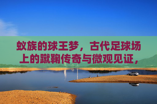 蚁族的球王梦,古代足球场上的蹴鞠传奇与微观见证,蚁族的球王梦,古代足球场上的蹴鞠传奇与微观见证