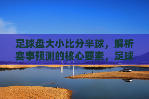 足球盘大小比分半球,解析赛事预测的核心要素,足球盘大小比分半球,解析赛事预测的核心要素