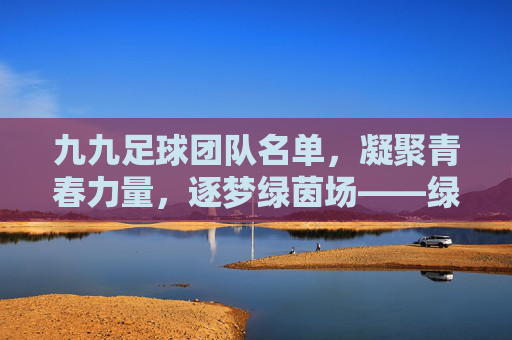 九九足球团队名单，凝聚青春力量，逐梦绿茵场——绿茵上的青春集结号