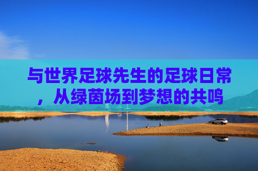 与世界足球先生的足球日常，从绿茵场到梦想的共鸣