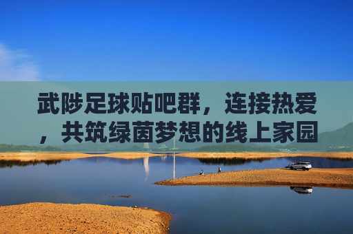 武陟足球贴吧群，连接热爱，共筑绿茵梦想的线上家园，武陟足球贴吧群，连接热爱，共筑绿茵梦想的线上家园