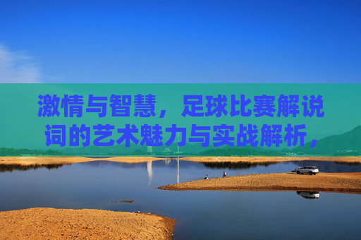 激情与智慧,足球比赛解说词的艺术魅力与实战解析,激情与智慧,足球比赛解说词的艺术魅力与实战解析