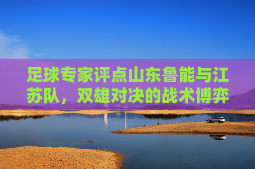 足球专家评点山东鲁能与江苏队，双雄对决的战术博弈与未来展望，足球专家评点山东鲁能与江苏队双雄对决，战术博弈与未来展望