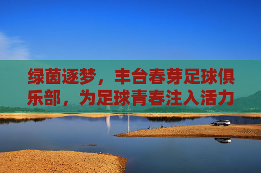 绿茵逐梦,丰台春芽足球俱乐部,为足球青春注入活力,绿茵逐梦,丰台春芽足球俱乐部为足球青春注入活力