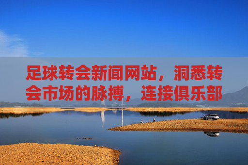 足球转会新闻网站，洞悉转会市场的脉搏，连接俱乐部与球迷的桥梁