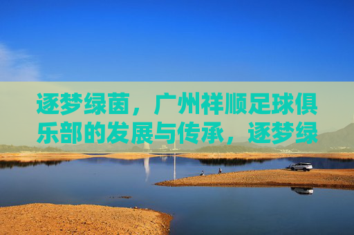 逐梦绿茵,广州祥顺足球俱乐部的发展与传承,逐梦绿茵,广州祥顺足球俱乐部的发展与传承