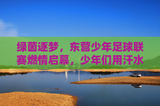 绿茵逐梦，东营少年足球联赛燃情启幕，少年们用汗水书写足球青春，绿茵逐梦，东营少年足球联赛燃情启幕，少年汗水铸就足球青春