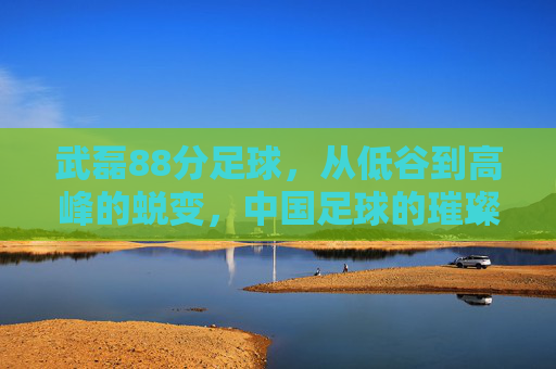 武磊88分足球,从低谷到高峰的蜕变,中国足球的璀璨星辰,武磊,从低谷到高峰的足球蜕变,中国足球的璀璨星辰