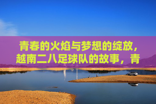 青春的火焰与梦想的绽放,越南二八足球队的故事,青春的火焰与梦想的绽放,越南二八足球队的故事