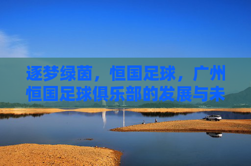 逐梦绿茵,恒国足球,广州恒国足球俱乐部的发展与未来展望,逐梦绿茵,广州恒国足球俱乐部的发展与未来展望