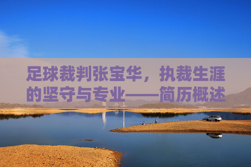 足球裁判张宝华，执裁生涯的坚守与专业——简历概述，足球裁判张宝华，执裁生涯的坚守与专业——简历概述
