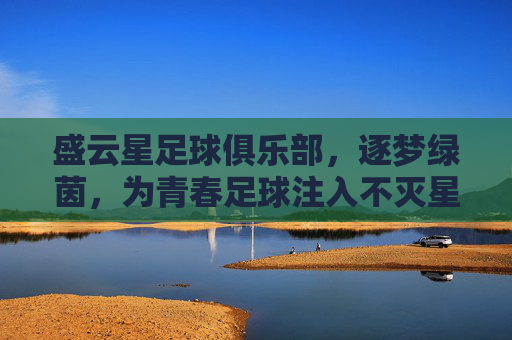 盛云星足球俱乐部,逐梦绿茵,为青春足球注入不灭星火