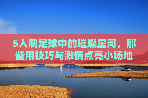 5人制足球中的璀璨星河,那些用技巧与激情点亮小场地的球星们,5人制足球中的璀璨星河,那些用技巧与激情点亮小场地的球星们