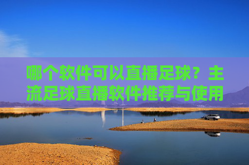 哪个软件可以直播足球？主流足球直播软件推荐与使用指南，主流足球直播软件推荐与使用指南，哪个软件可以直播足球？