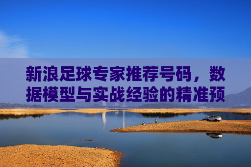 新浪足球专家推荐号码,数据模型与实战经验的精准预测,助力竞彩决策,新浪足球专家数据模型与实战经验推荐号码,精准预测助力竞彩决策