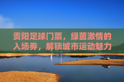 贵阳足球门票,绿茵激情的入场券,解锁城市运动魅力