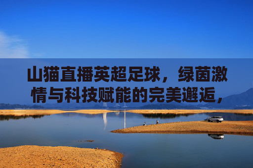 山猫直播英超足球，绿茵激情与科技赋能的完美邂逅，山猫直播英超足球，绿茵激情与科技赋能的完美邂逅
