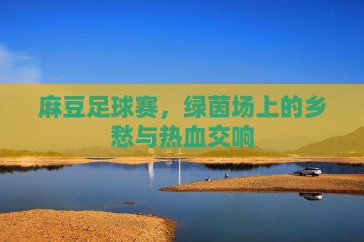 麻豆足球赛，绿茵场上的乡愁与热血交响