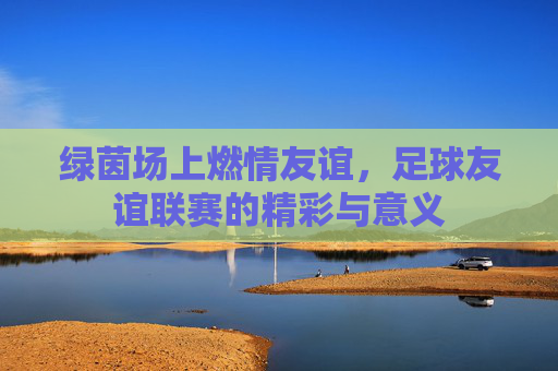 绿茵场上燃情友谊,足球友谊联赛的精彩与意义