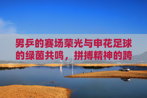 男乒的赛场荣光与申花足球的绿茵共鸣,拼搏精神的跨越边界传承