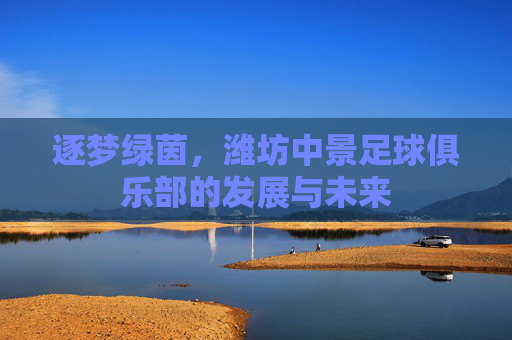 逐梦绿茵，潍坊中景足球俱乐部的发展与未来