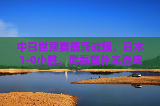 中日世预赛最新战报，日本1-0小胜，武磊替补未登场，双方数据与后续影响解析