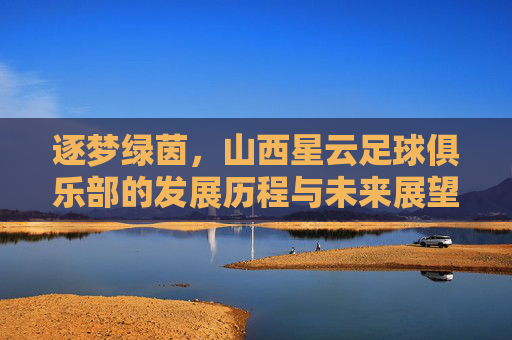 逐梦绿茵,山西星云足球俱乐部的发展历程与未来展望