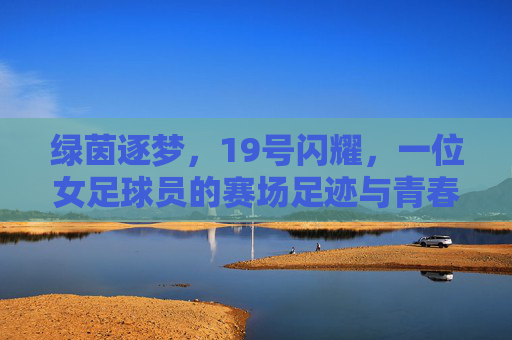 绿茵逐梦,19号闪耀,一位女足球员的赛场足迹与青春故事