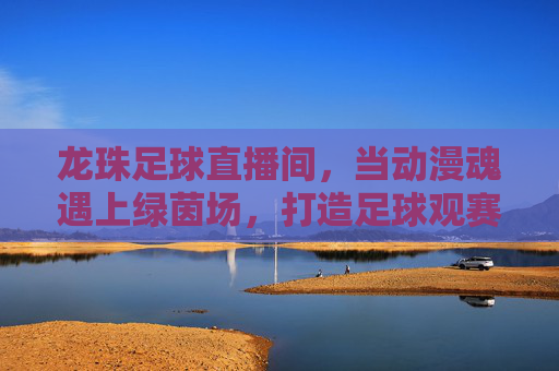 龙珠足球直播间,当动漫魂遇上绿茵场,打造足球观赛新体验