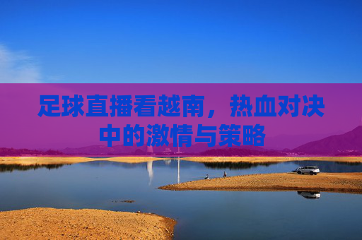 足球直播看越南,热血对决中的激情与策略