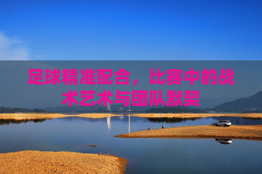 足球精准配合，比赛中的战术艺术与团队默契