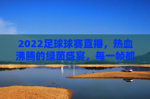 2022足球球赛直播,热血沸腾的绿茵盛宴,每一帧都值得珍藏