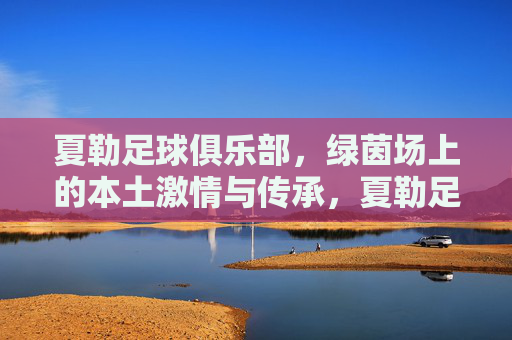 夏勒足球俱乐部，绿茵场上的本土激情与传承，夏勒足球俱乐部，绿茵场上的本土激情与传承