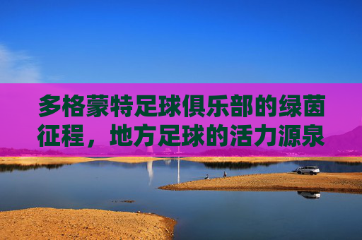 多格蒙特足球俱乐部的绿茵征程,地方足球的活力源泉与社区精神传承