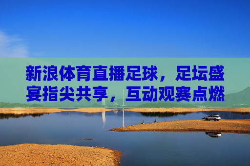 新浪体育直播足球,足坛盛宴指尖共享,互动观赛点燃激情