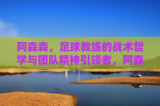 阿森森，足球教练的战术哲学与团队精神引领者，阿森森，足球教练的战术哲学与团队精神引领者