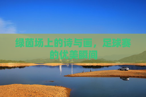 绿茵场上的诗与画，足球赛的优美瞬间