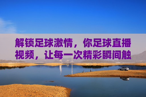 解锁足球激情，你足球直播视频，让每一次精彩瞬间触手可及，解锁足球激情，你的足球直播视频，让精彩瞬间触手可及