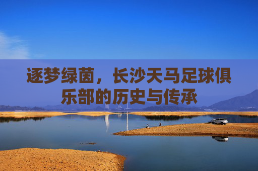 逐梦绿茵,长沙天马足球俱乐部的历史与传承